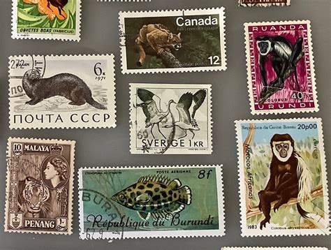 Animal stamps 20 vintage postage lot for cards and | Etsy