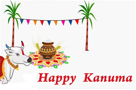 The history of kanuma festival in hindu sankranthi tradition