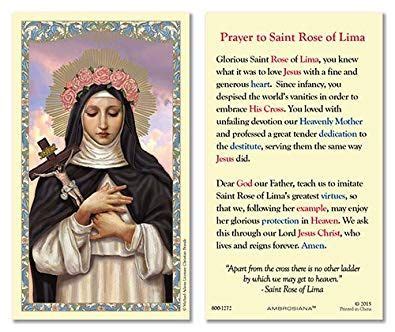 #Prayer to #Saint #Rose of #Lima, #feastday | St rose of lima, Prayers ...