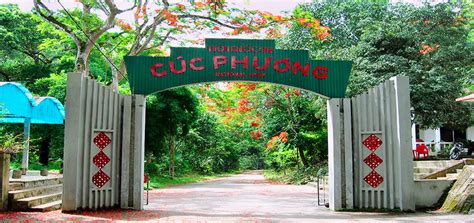 Cuc Phuong National Park Full Day - Group Tour - VM Travel