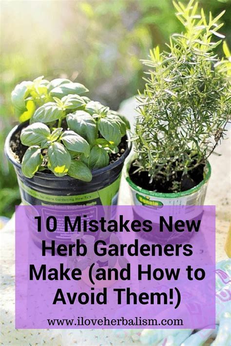 Great informative article to read. If you planning to grow some herbs in your garden or pot then ...