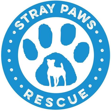 Welcome [straypawsrescue.com]