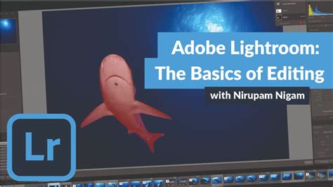 The Basics of Editing Underwater Photos in Adobe Lightroom - Underwater Photography Guide