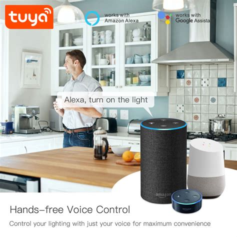 Tuya Mini Two-Channel Wi-Fi Smart Lighting Controller