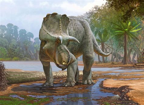 Newly described horned dinosaur from New Mexico was the earliest of its ...