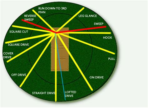 File:Cricketing Shots.jpg - Wikimedia Commons