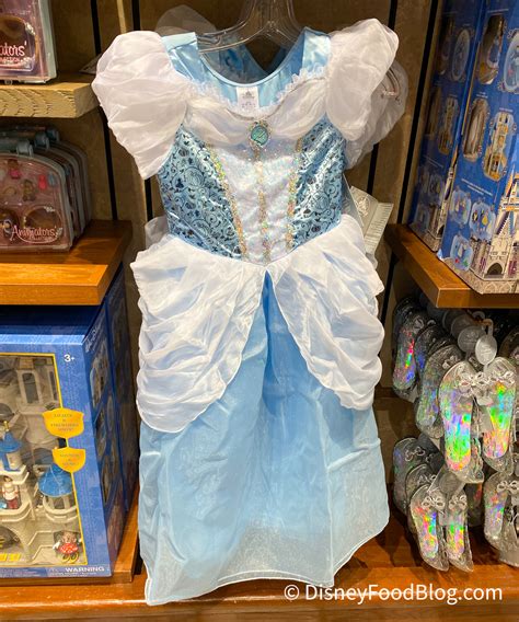 PHOTOS: NEW Princess Costume Dresses Arrive in Disney World! | the ...