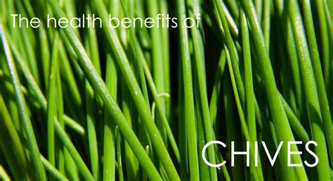Health Benefits of Chives - Ask Dr. Nandi