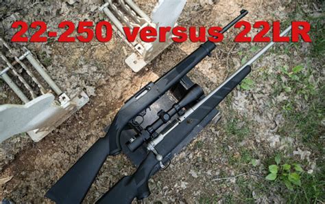 22-250 vs 22LR | AmmoForSale.com