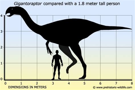 Gigantoraptor | Prehistoric wildlife, Prehistoric animals, Dinosaur silhouette