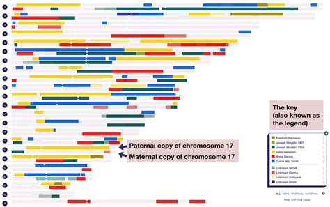 Different views in your chromosome map: did you know? #5 | DNA Painter Blog