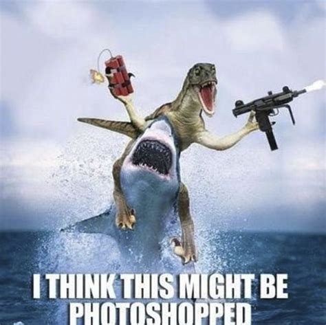 These Shark Memes Are In Honor Of Beloved 'Shark Week' - Happy 'Shark ...