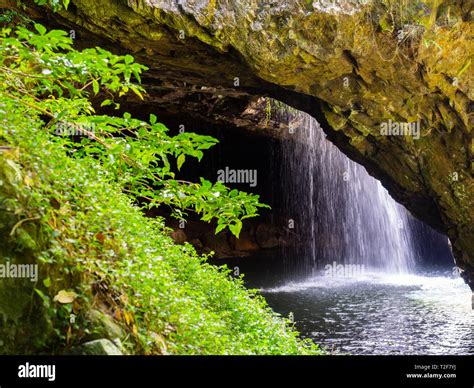 Natural Bridge Springbrook National Park Stock Photo - Alamy