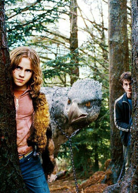 Buckbeak | Wiki | Harry Potter Amino