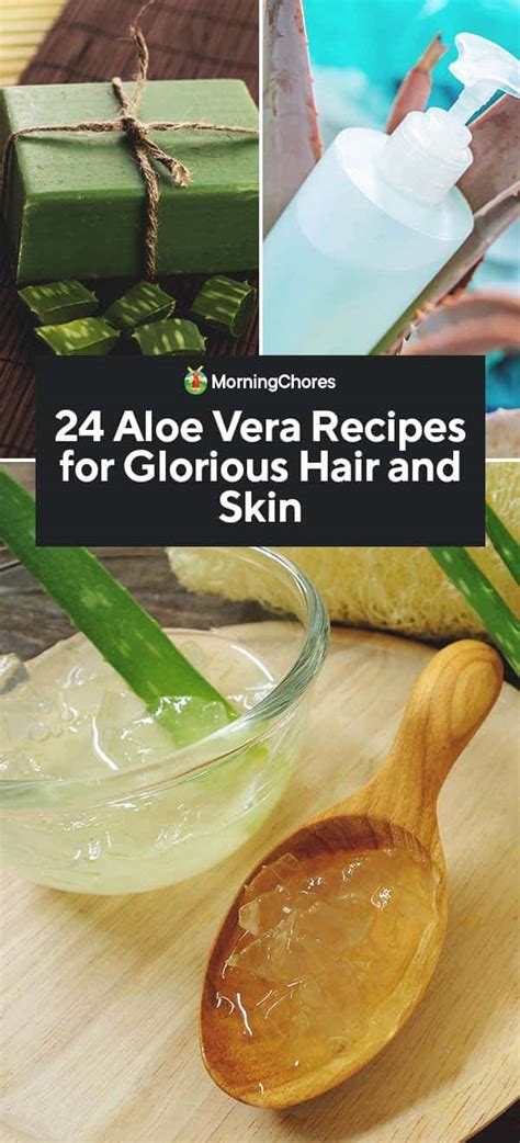 24 Aloe Vera Recipes for Glorious Hair and Skin