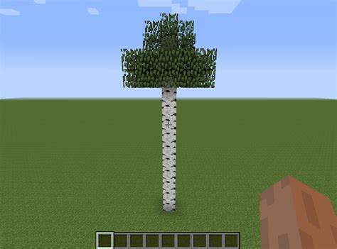 File:Tall Birch Tree.png – Official Minecraft Wiki