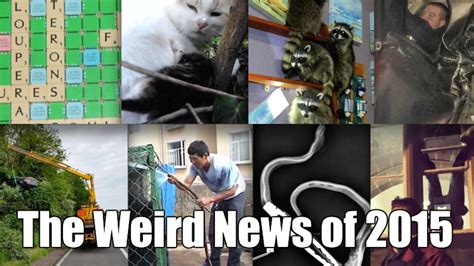 The Top 20 Weird News Stories of 2015 | Mental Floss