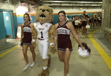 Mississippi State mascot "Bully" walks with cheerleaders... Photo-7378754.100975 - NewsTimes