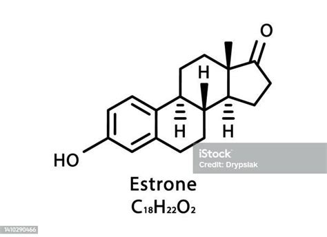 Estrone Molecular Structure Estrone Skeletal Chemical Formula Chemical ...