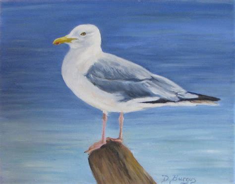 Art Helping Animals: Herring Gull Oil Painting by Della Burgus