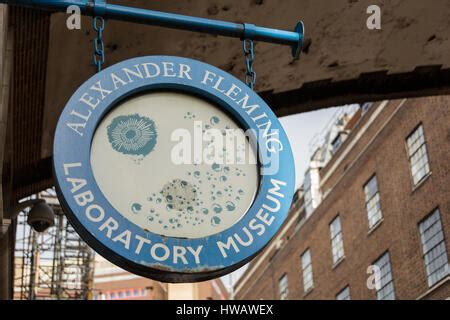 Alexander Fleming laboratory museum, St.Mary's hospital, London, England, U.K Stock Photo ...