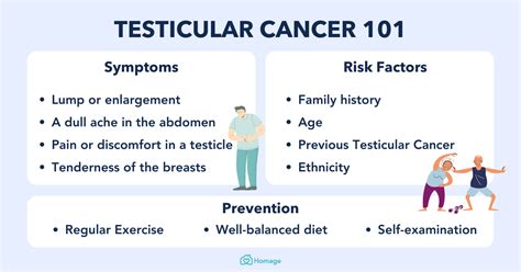 Testicular Cancer 101: Symptoms, Types, Stages, Causes & Treatment ...