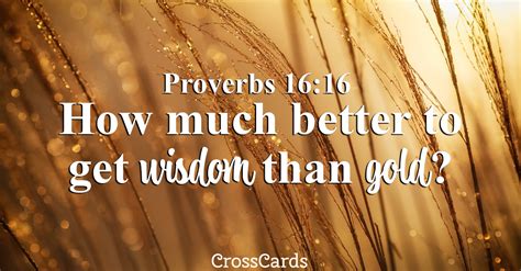 Proverbs 16:16 - Wisdom - Inspirations