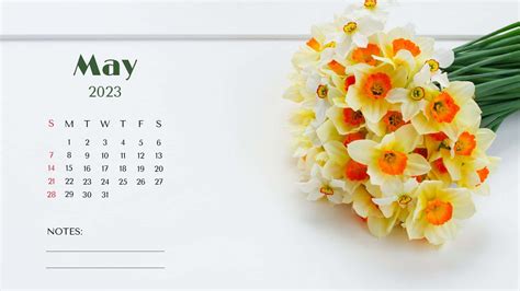 🔥 Free download Download May Calendar Wallpaper [1920x1080] for your Desktop, Mobile & Tablet ...