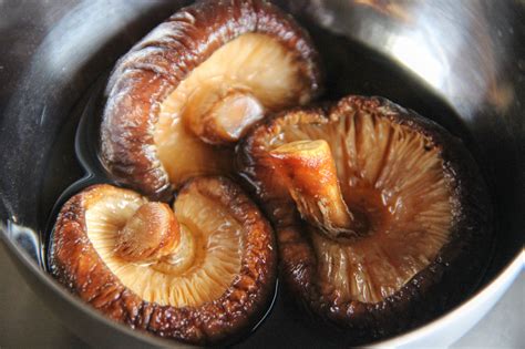 Dried Shiitake Mushroom – Japanese Cooking 101