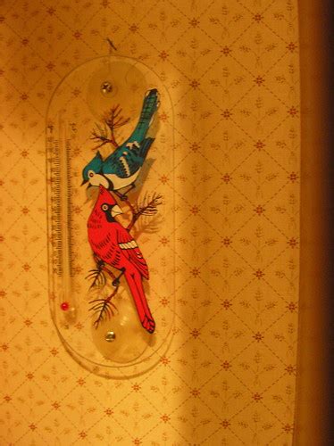 cardinal thermometer | Jo Guldi | Flickr