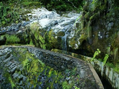 Madeira Explorers - Levada and Leisure Walks (Funchal) - All You Need to Know BEFORE You Go