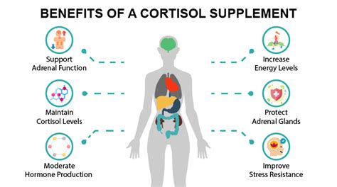 Consumer Review | What Is The Best Cortisol Supplement On The Market?