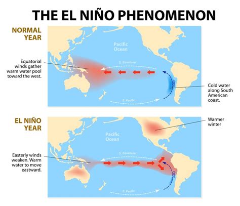 Pacific Ocean Facts: Essential Information for the Inquisitive Mind - American Oceans