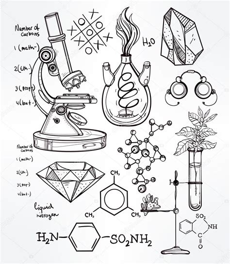 Biology Drawing at GetDrawings | Free download