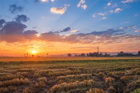 Farm Sunset Stock Photos, Images and Backgrounds for Free Download