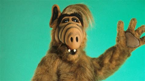 Michu Meszaros Dead: ‘ALF’ Actor Was 76 – The Hollywood Reporter