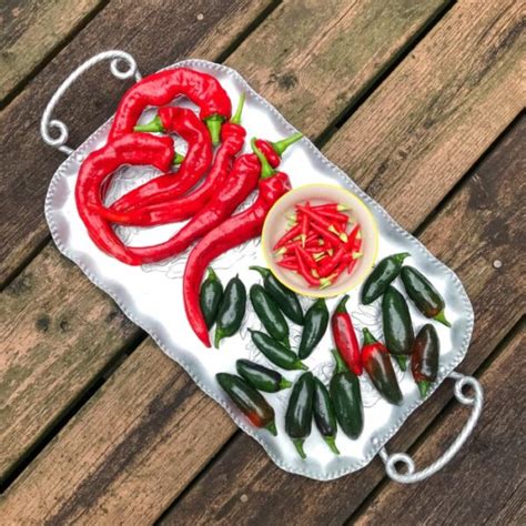 Growing Peppers: Sweet, Spicy + Flavourful! - Garden Therapy