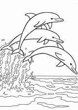 Free & Easy To Print Dolphin Coloring Pages  Tulamama sketch template