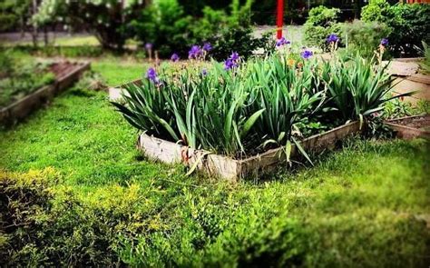 8 Eco-Friendly Landscaping Ideas For Your Backyard | Happy Eco News