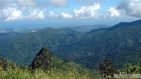 Hike the El Yunque Trail to the Top of the Rain Forest | PRDayTrips