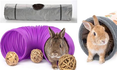 Rabbit Tunnel: These Are Top 5 Options For Your Furry Friend