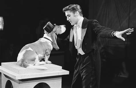 Who Really Came up With the Idea for Elvis Presley's Infamous 'Hound ...