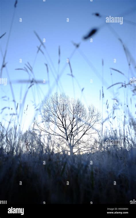 Early winter scenery Stock Photo - Alamy