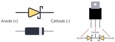 Schottky Diode: A Beginner’s Guide