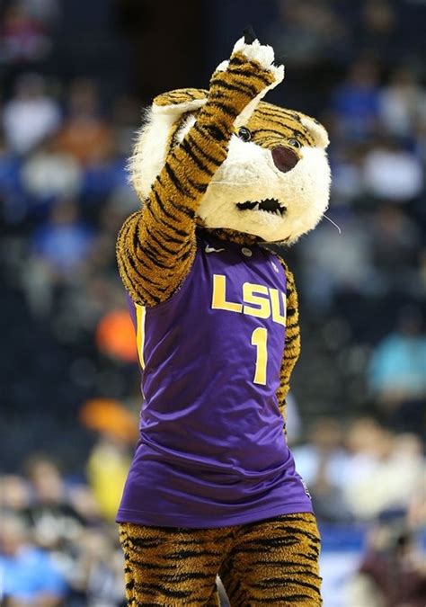 17 Best images about New Orleans Saints & LSU Tigers on Pinterest ...