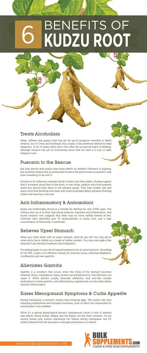 Kudzu Root: Benefits, Dosage & Side Effects