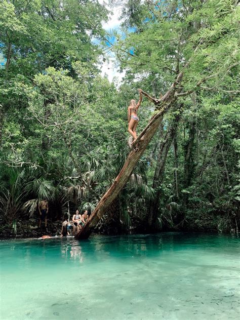 Weeki Wachee Kayaking | Florida blog | Fresh Mommy Blog