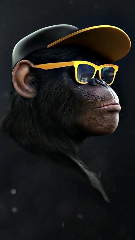 Monkey Wallpapers on WallpaperDog