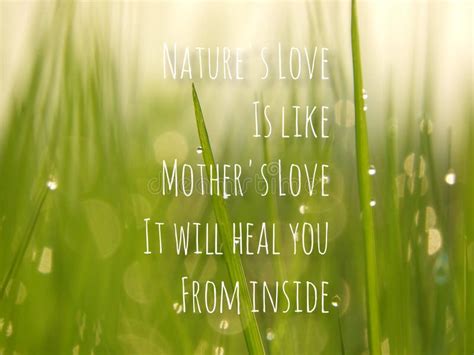 Nature`s Love is Like Mother`s Love, Inspiration and Motivational ...