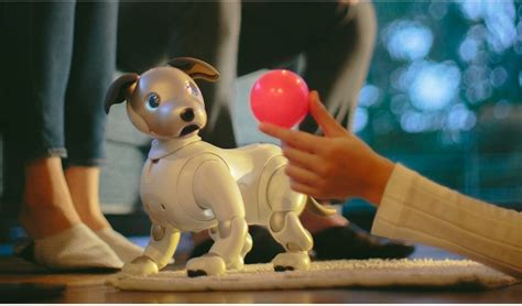 Sony Has Resurrected Its Iconic Robotic Pet Dog Aibo